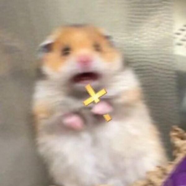 天偶らん🌌🥚＠4月以降色々始動予定 tweet media