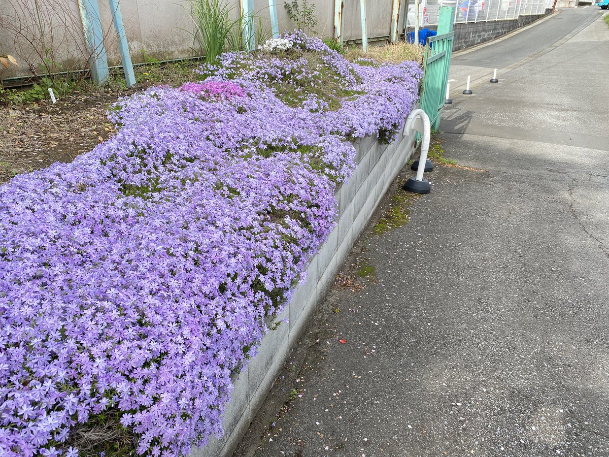 内外マリアブル株式会社 tweet media