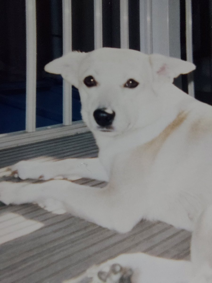 まーたろ tweet media