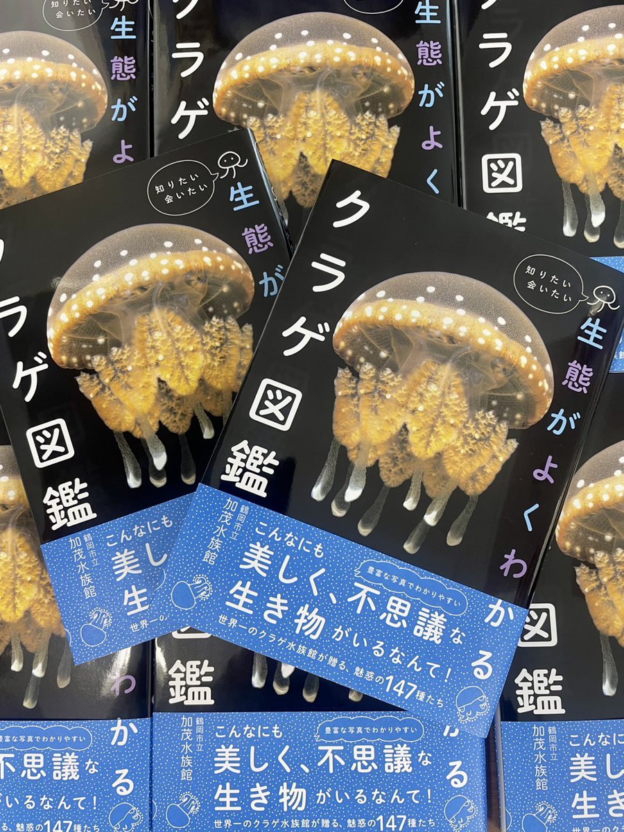 \\ 📗クラゲ図鑑 先行販売！📗//

かもすいが作った「クラゲ図鑑」が本日から当館売店で先行販売します！
全国の書店では4月20日頃から販売開始です。早めに入手したい方は、水族館売店でお買い求めください🪼

■ 生態がよくわかるクラゲ図鑑
■ 鶴岡市立加茂水族館 (著)
■ 定価1800円（＋税）