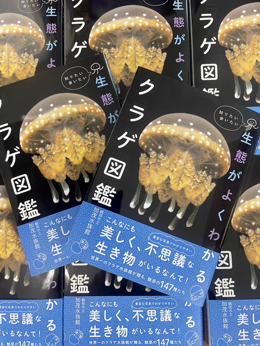 東北エプソンアクアリウムかもすい（鶴岡市立加茂水族館） on X