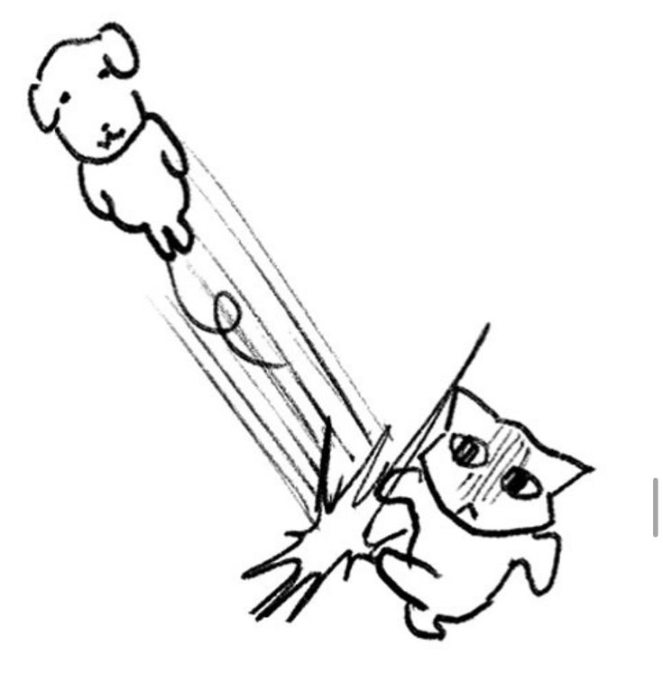 듀됴지 tweet media