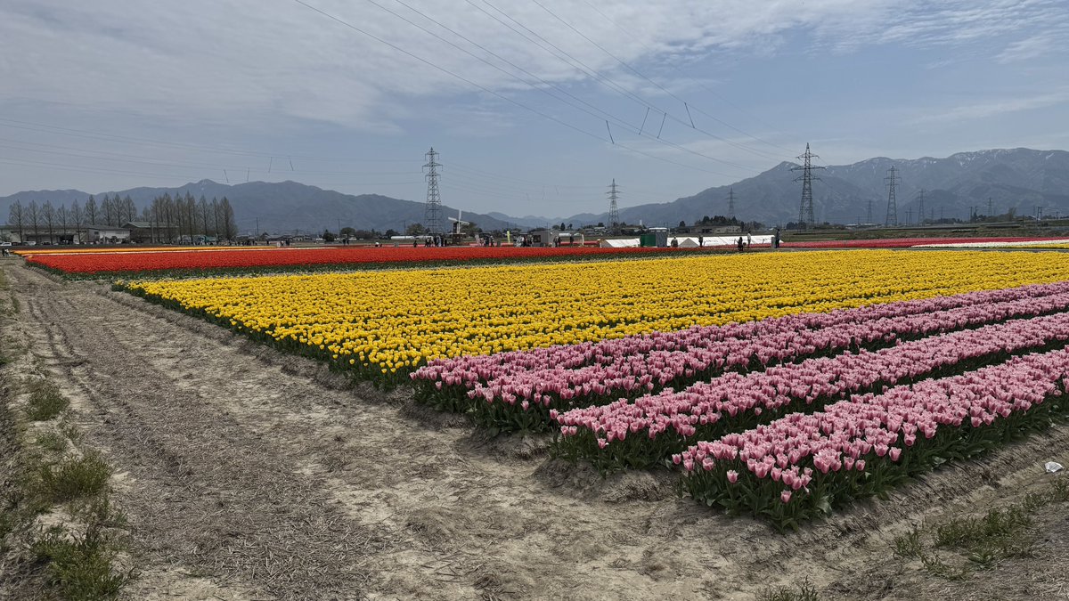 ASMRAmaoto's tweet photo. 五泉市も行ってきました。リベンジ出来た。 https://t.co/zLejJjmbZl
