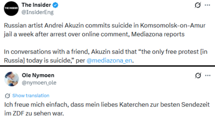 Polly tweet media