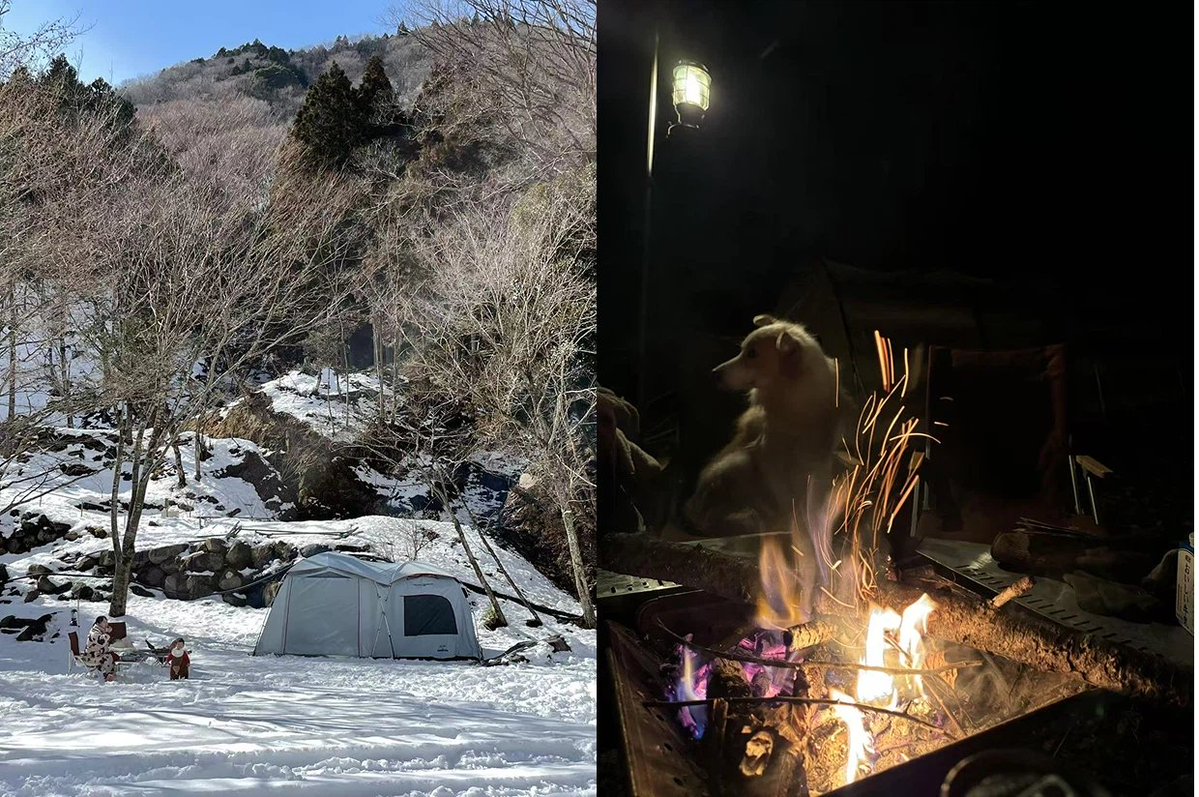 LINEヤフーDESIGN tweet media