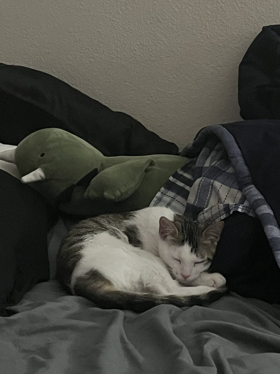 Daily Pixel 🌱 tweet media