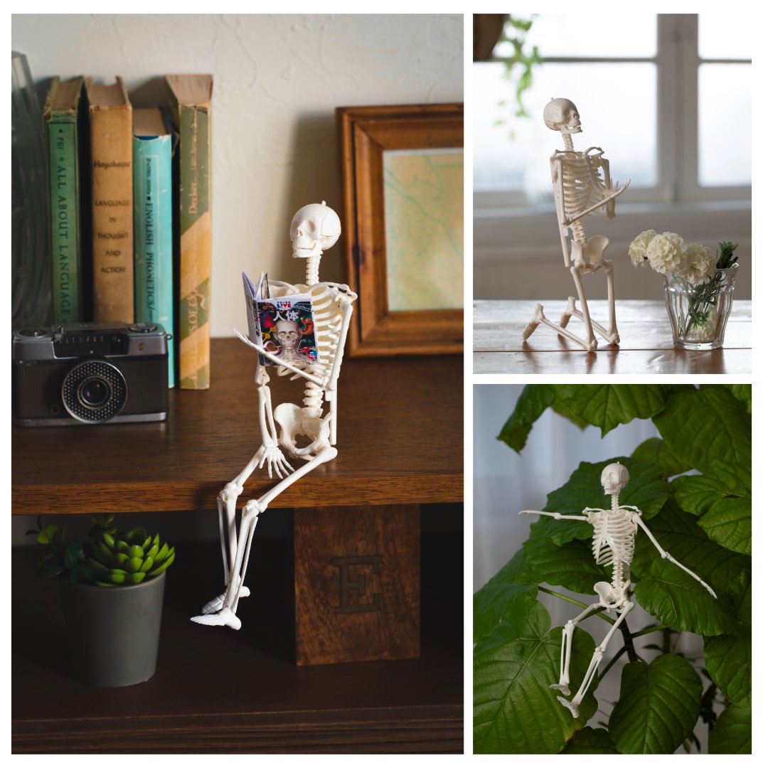 「学研の科学」公式★「恐竜化石発掘キット」発売中！（Gakken） tweet media