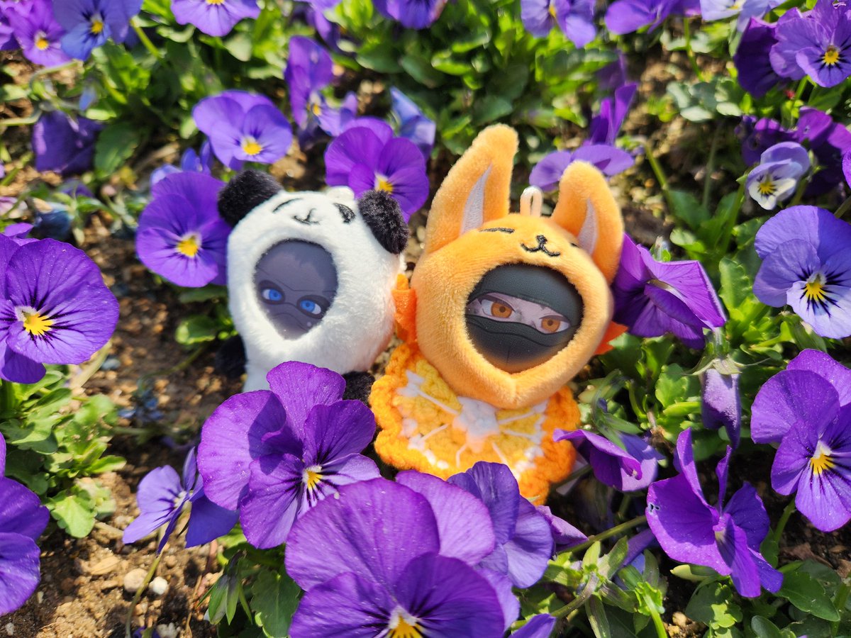 코택,악당_물 tweet media