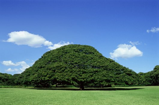 スマイルくん(Smile) tweet media