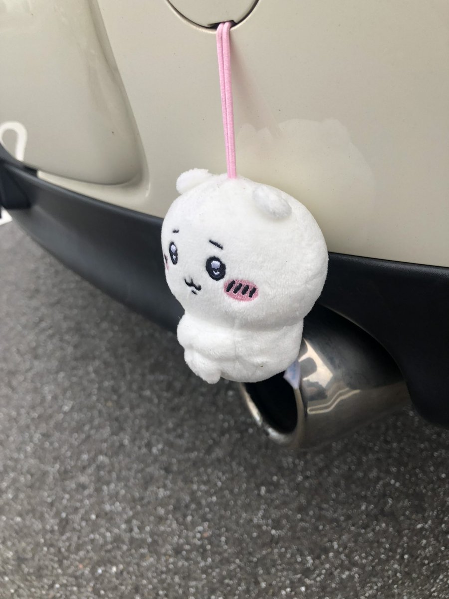 じょじこ ZD8 tweet media