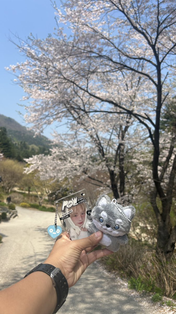 khanaphoto's tweet photo. 벚꽃 🌸🌸🌸
The garden of morning charm

#DONGYEON #동연 
#푸파워 #POWERNOW 🇰🇷🇰🇷 https://t.co/k5jikgWp0F