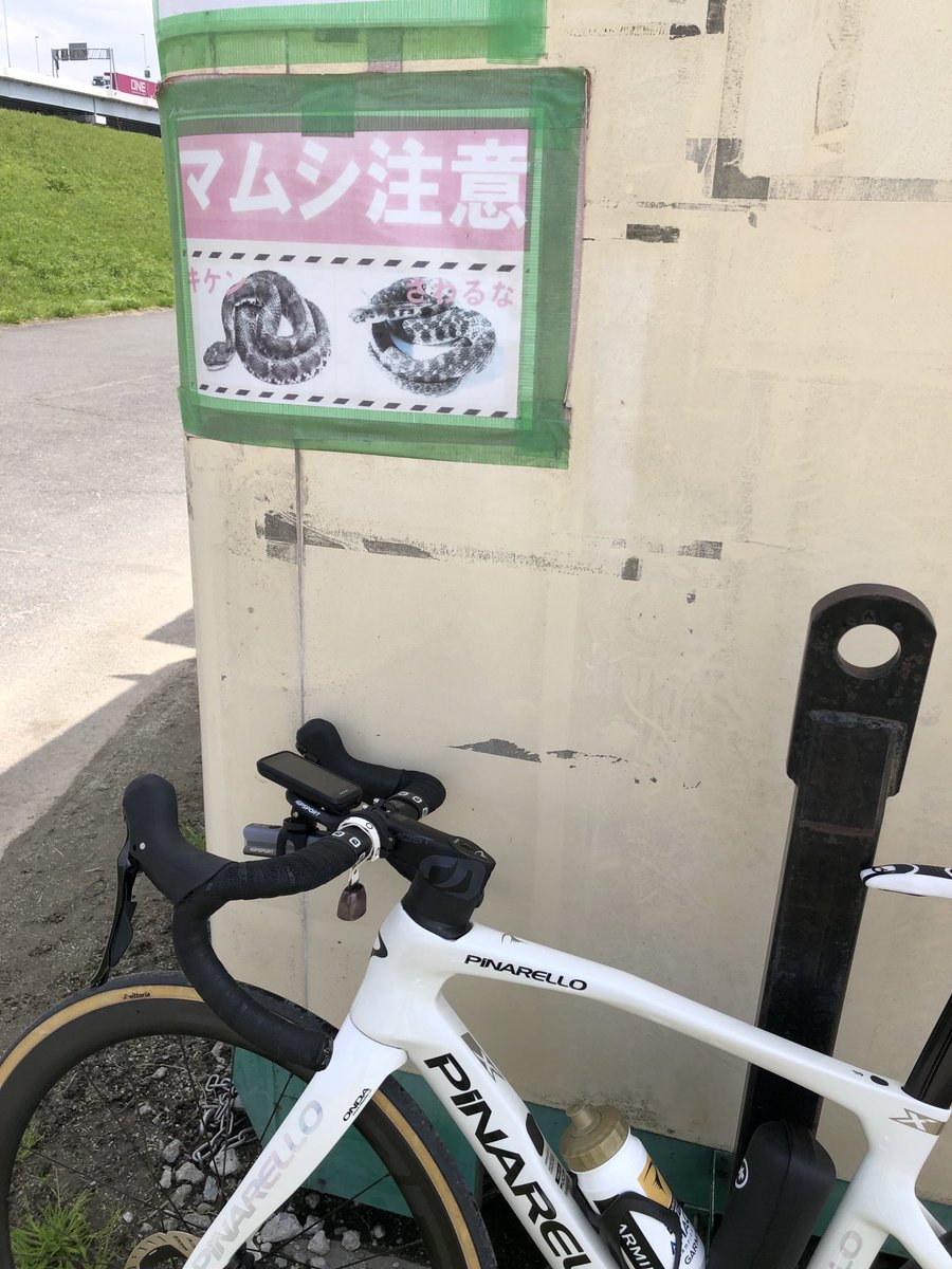 AndMini4wd69666's tweet photo. 仮設トイレに貼ってあった🐍‼️ https://t.co/C5VjjnNY1S