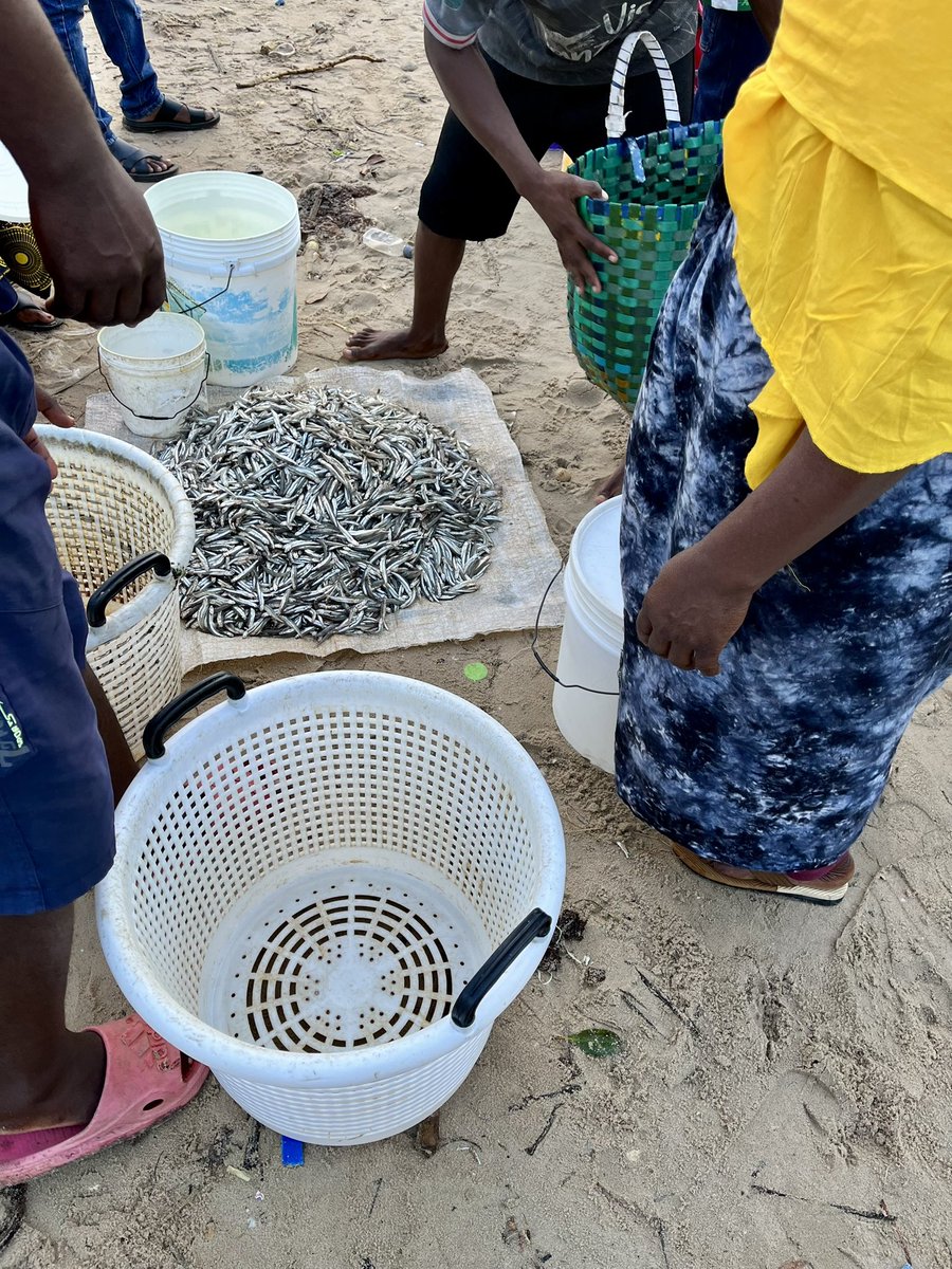 MUAD’DIB tweet media