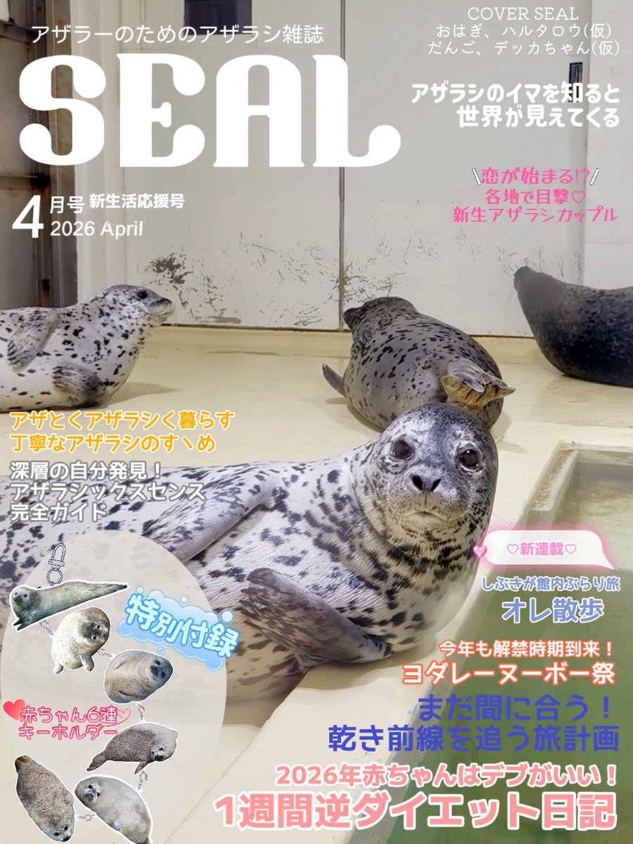 はくひめ🦭 tweet media