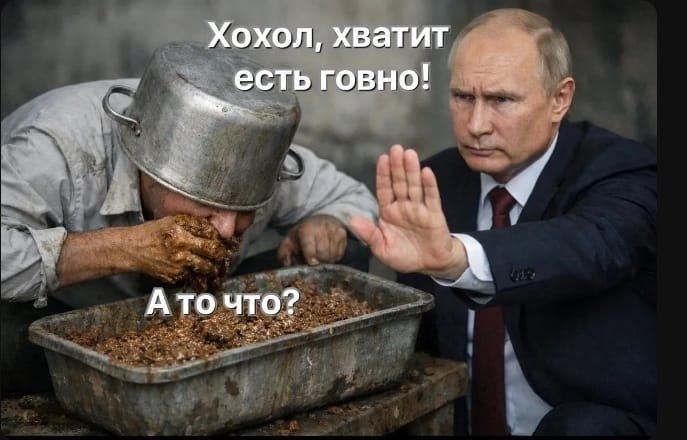 Igor tweet media