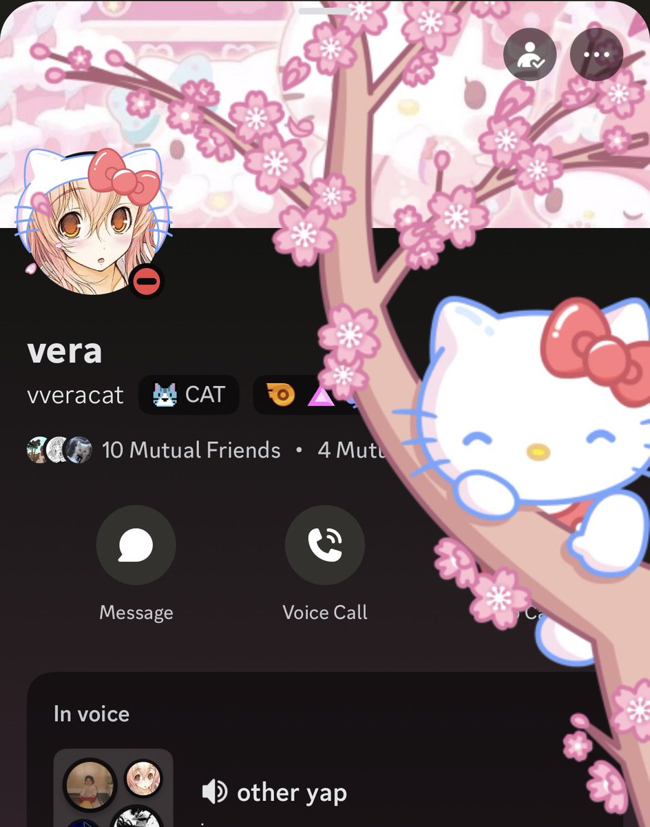 vera tweet media