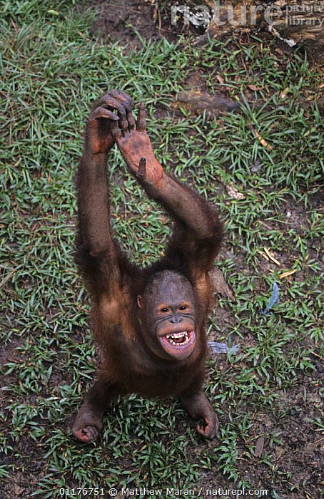 Gift Glory 🌟 tweet media