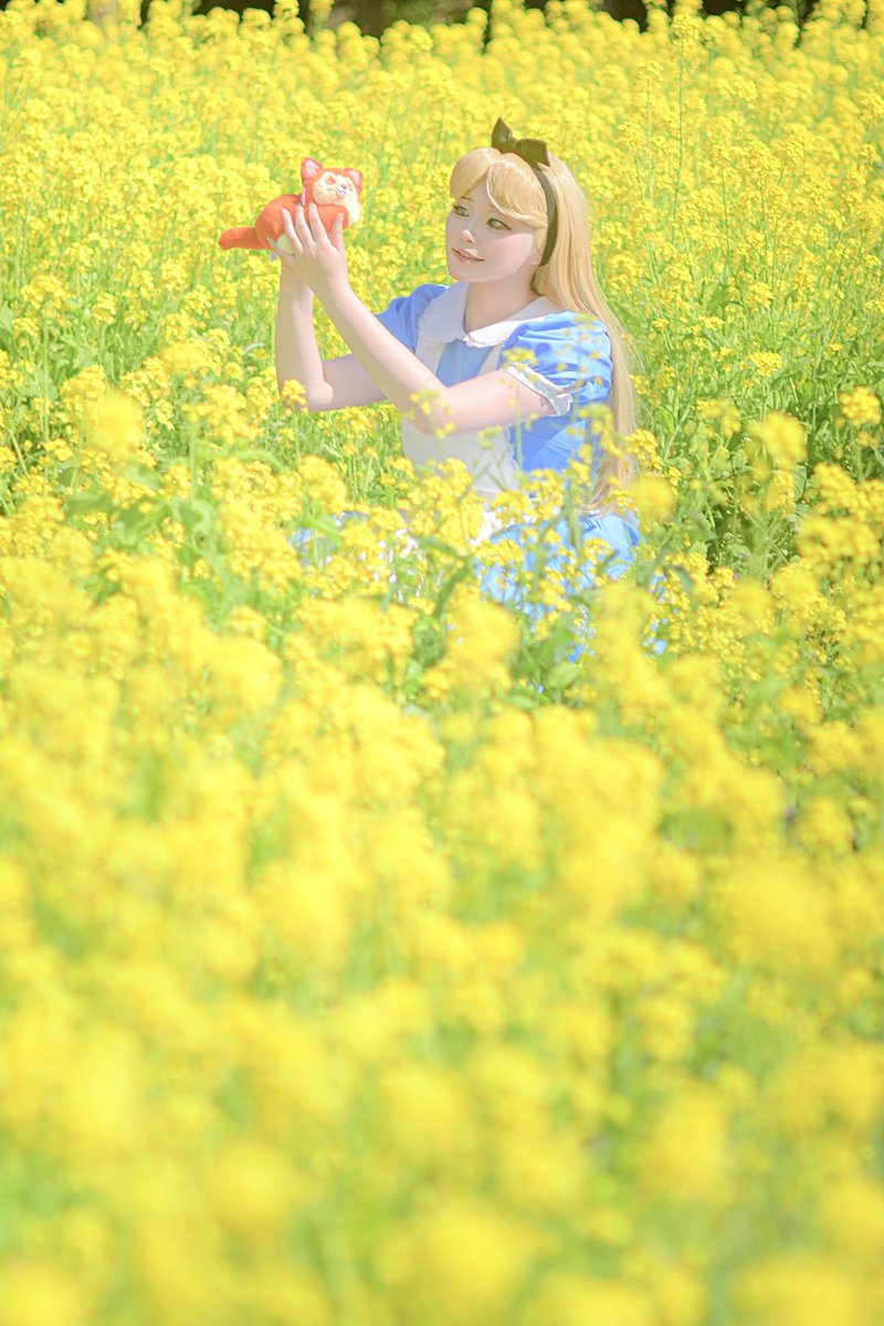 夢の幸せいっぱい💛

photo:<a href="/imoti2n/">ごへ</a> 
⚠︎︎仮装/cosplay ふしぎの国のアリス