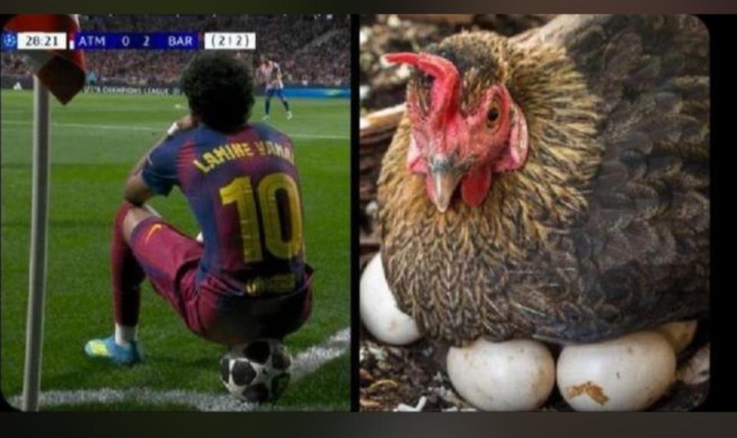 jmaloba2's tweet photo. @FabrizioRomano 😂😂😂 https://t.co/08q9FSfnmo