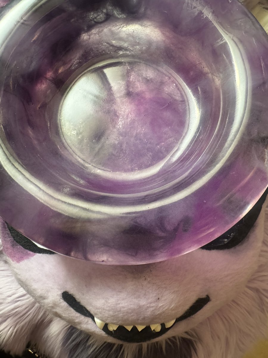 파하가이니레스시무스스 tweet media