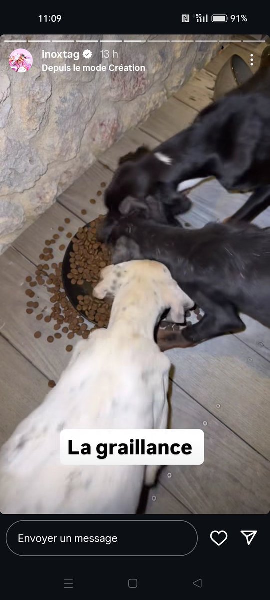 aymeric288 tweet media