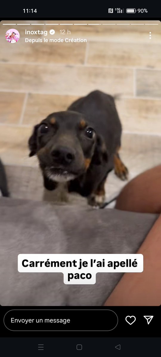 aymeric288 tweet media