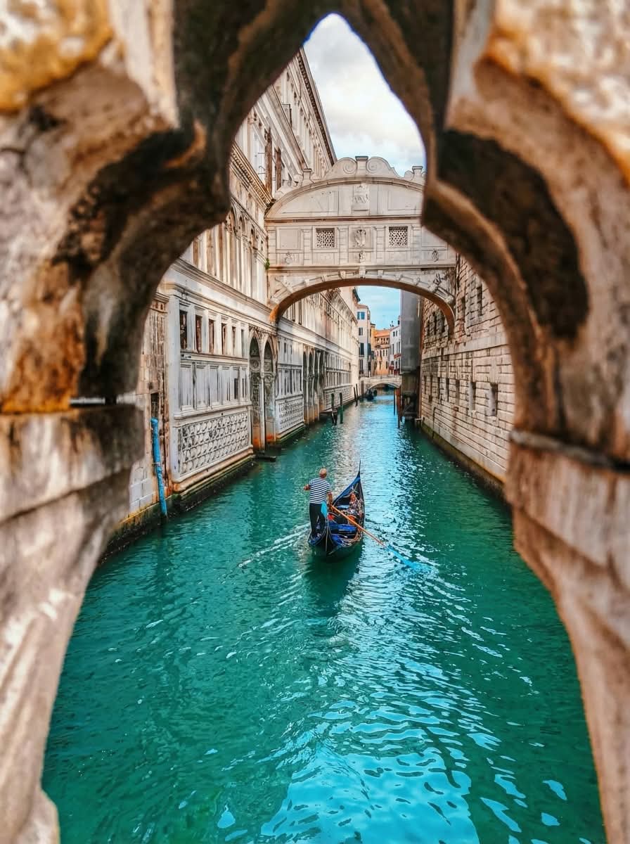 Seascape Nature tweet media