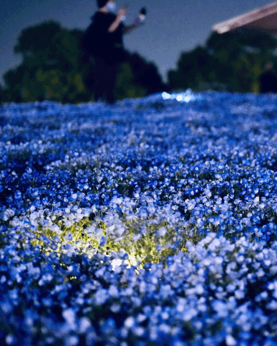 神戸観光局【公式】 tweet media