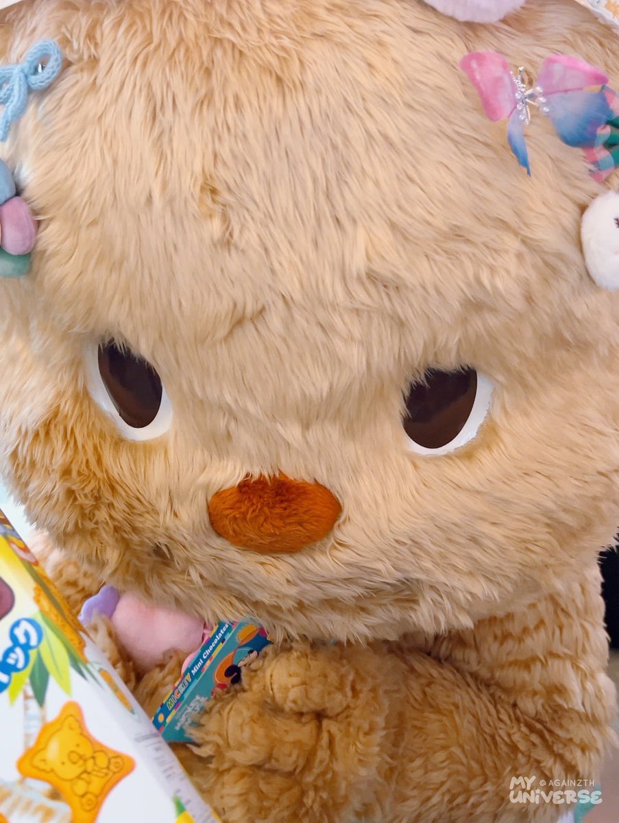 ↻ grayy tweet media