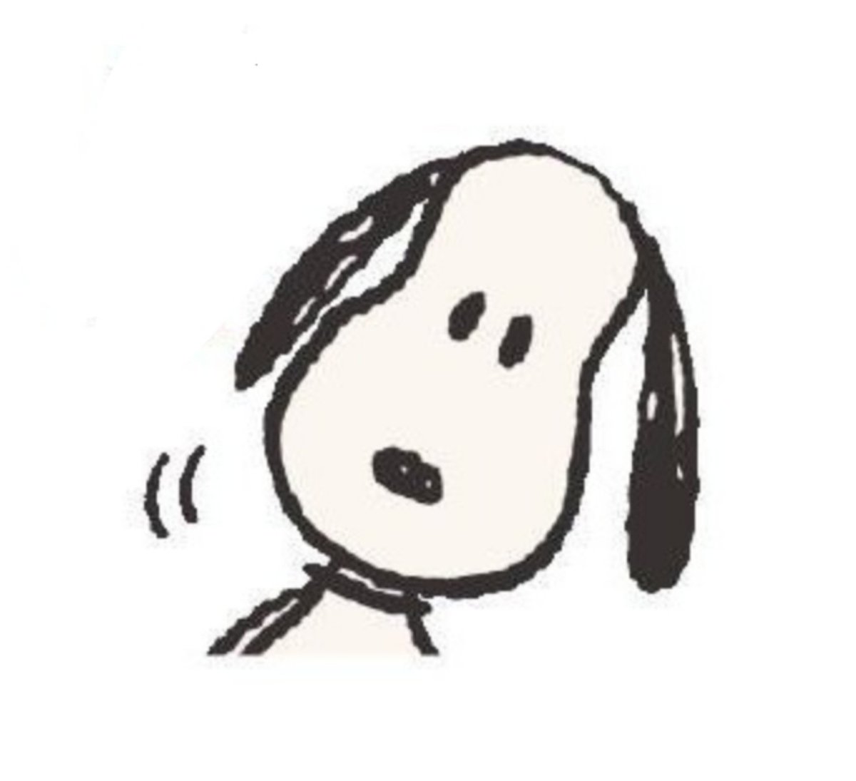 すぬちゃん tweet media