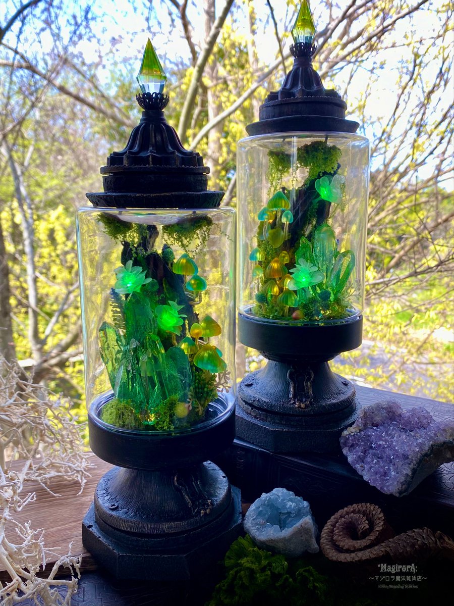 𖤣𖥧🌱『個展のお知らせです』🌱𖤣𖥧

🍄5月２日〜5月31日
🍄アランデルさん（東京自由が丘）』店内にて
🍄新作が沢山ご用意しております！森の空気感を感じて頂ける個展をお楽しみ下さい𓆸