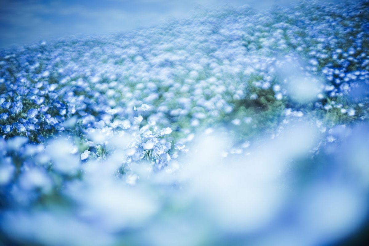 𝓴𝓸𝓰𝓪𝔂𝓪. tweet media