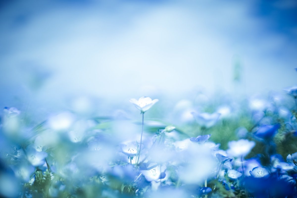 𝓴𝓸𝓰𝓪𝔂𝓪. tweet media