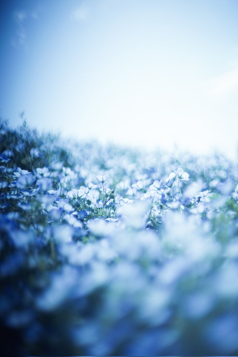 𝓴𝓸𝓰𝓪𝔂𝓪. tweet media