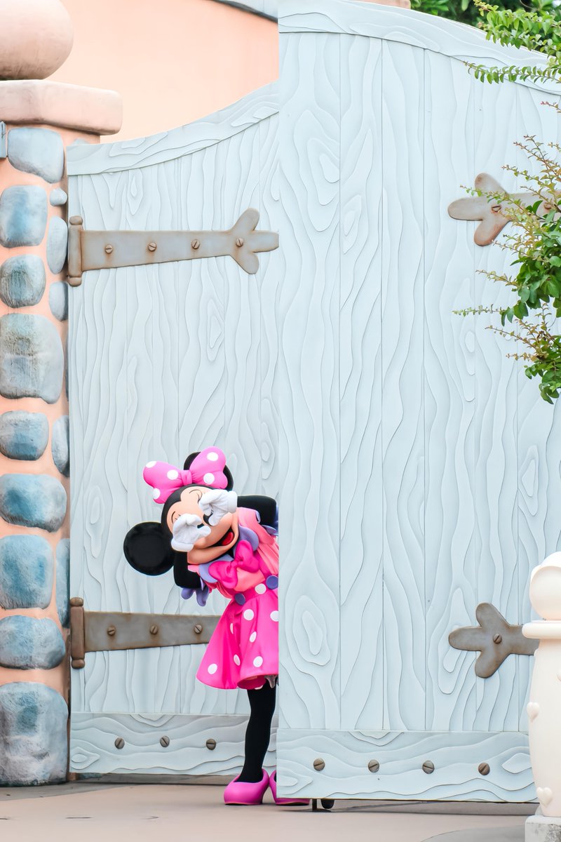 麦ごはん tweet media