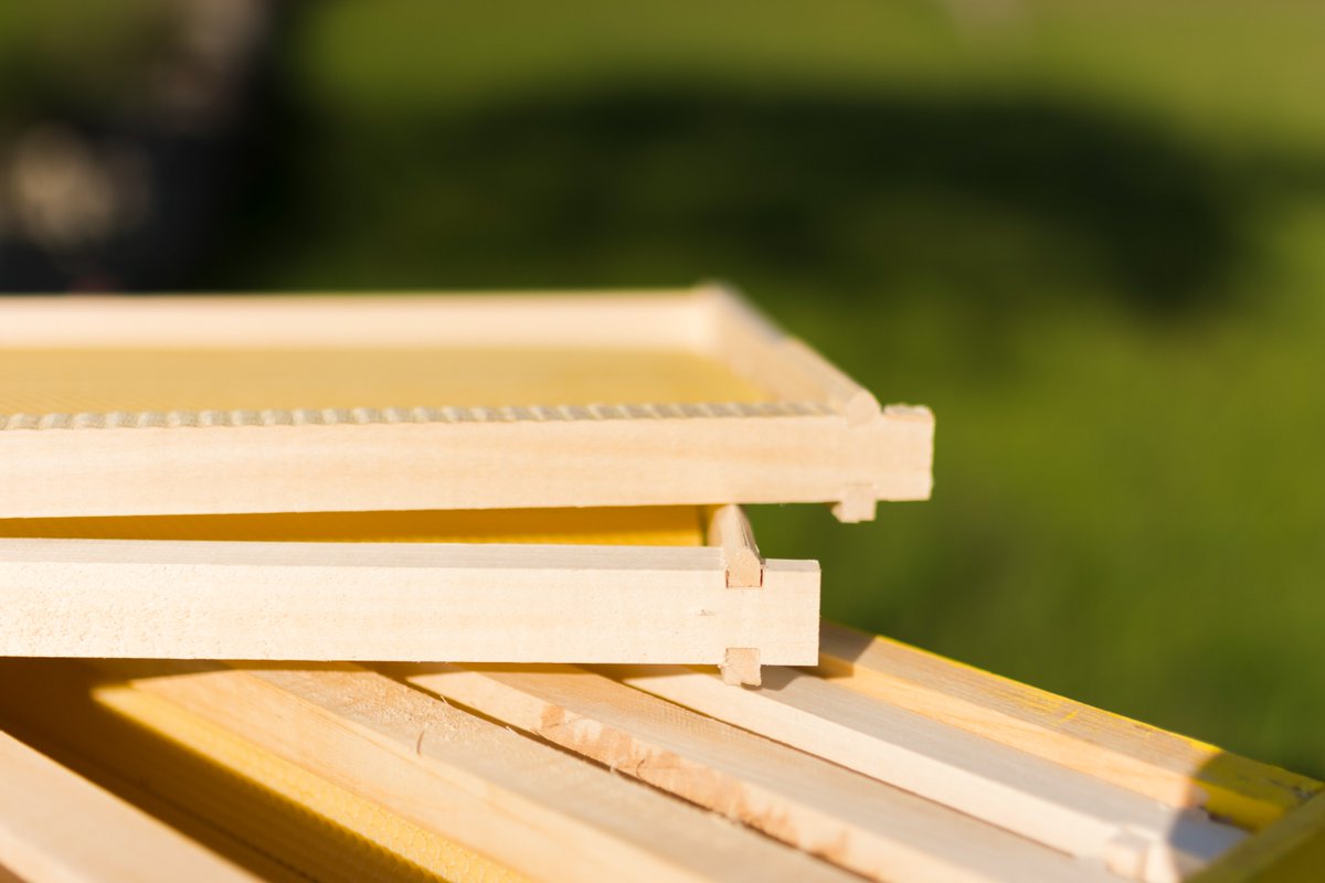 MaderaCastellar's tweet photo. La madera vuelve a ser protagonista 🌳
Sostenible, versátil y cada vez más presente en construcción y diseño 🏡
No es tendencia… es evolución 🌱
#MaderaNatural #Construcción #Arquitectura #Diseño #Tendencias https://t.co/qL5Vt5qemi