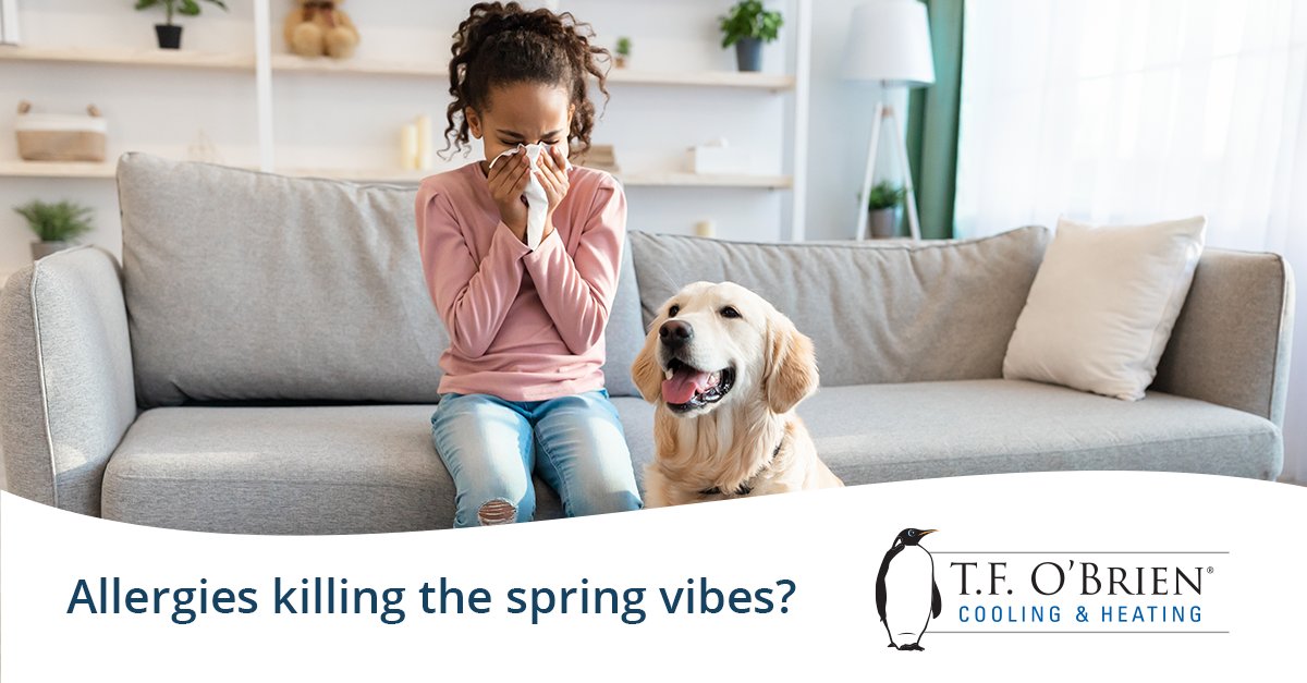 Spring is beautiful, but allergies aren’t.🤧 If your home’s air feels stuffy or dusty, our indoor air quality solutions can help fight spring allergies and have you feeling like your best self. Learn more: ow.ly/7jeR50YzPvV