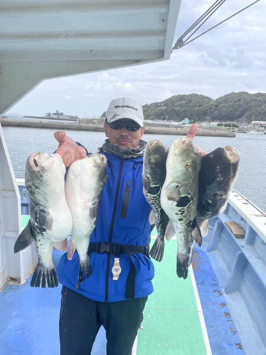 freestyle_aeg's tweet photo. 今日は初めての虎河豚釣り〜♪ 
釣れて良かった😁 https://t.co/dIhePSn354