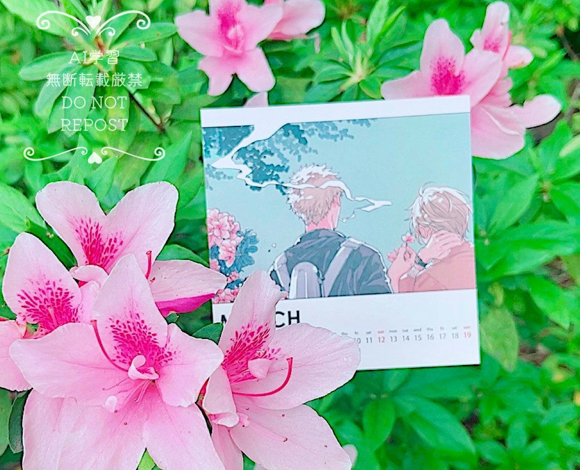 お花シリーズ🍁🌸リベンジ  𖤣𖥧𖡼.𖤣𖥧

(※ 葉や花には直接触れないように撮影しています📸)