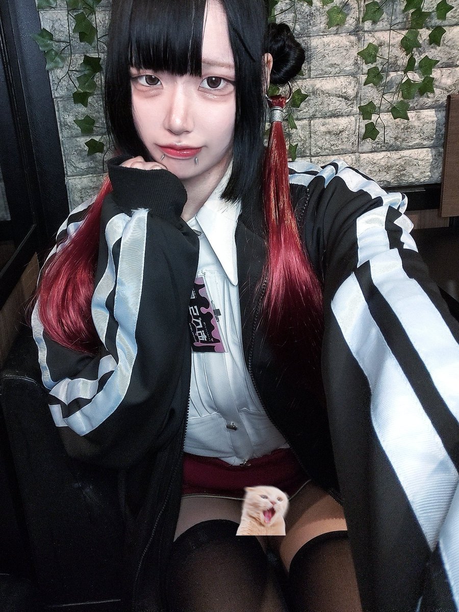 おぺら📛メイギルドエレジア錦 tweet media