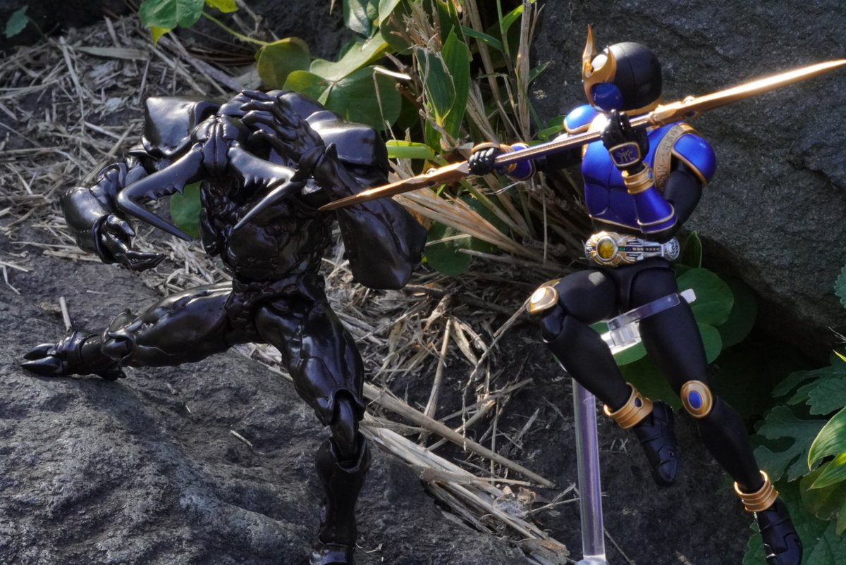 ベルディオ tweet media