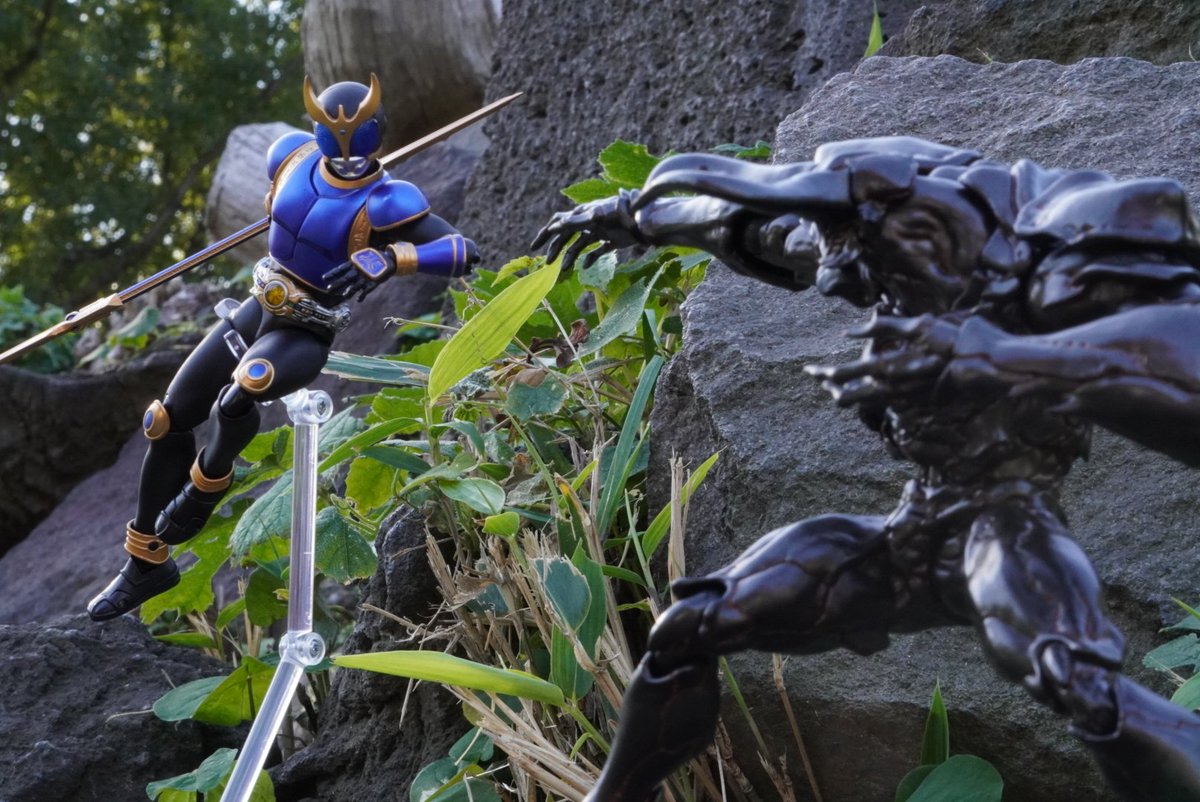 ベルディオ tweet media