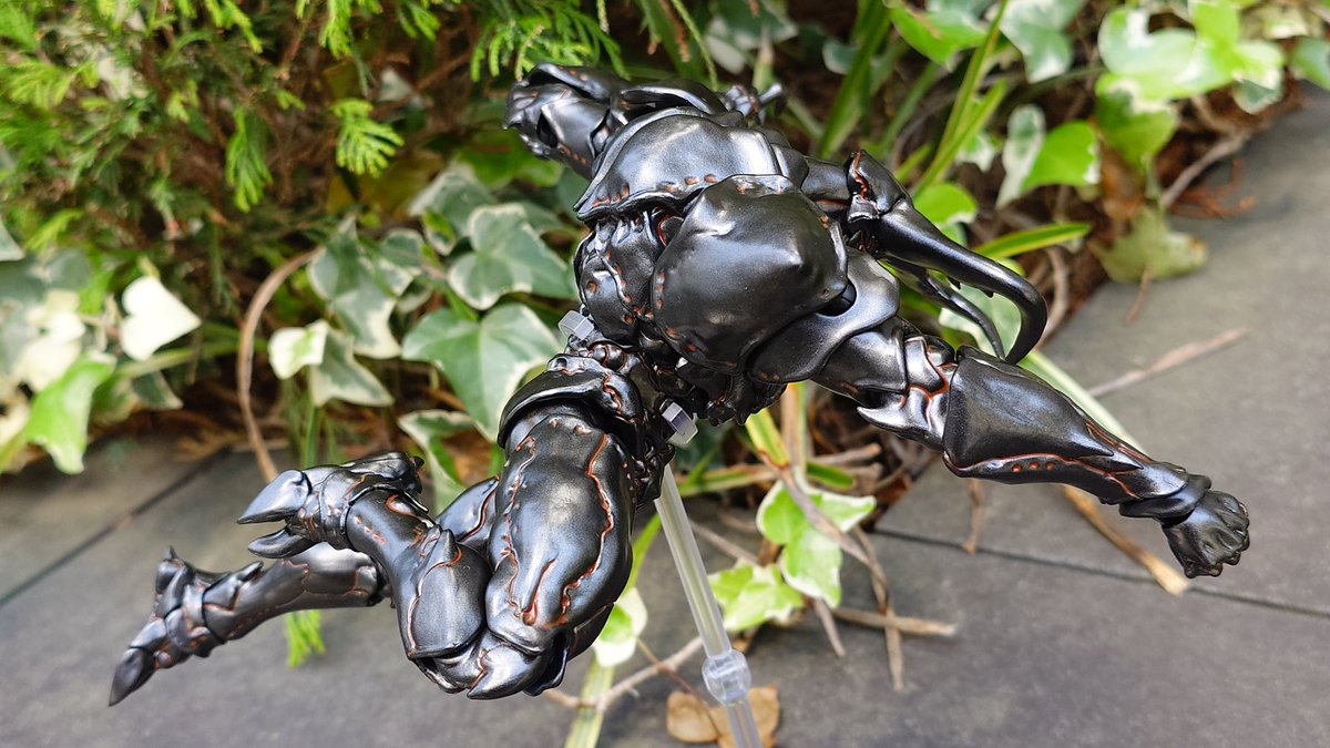 ベルディオ tweet media