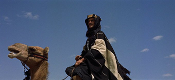 Stephen Gibbons tweet media