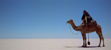 Stephen Gibbons tweet media