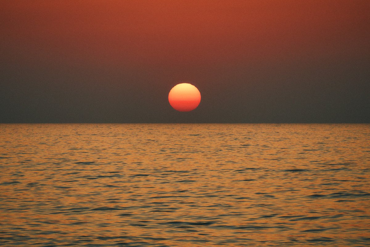 真道 健志 / Shindo Takeshi tweet media