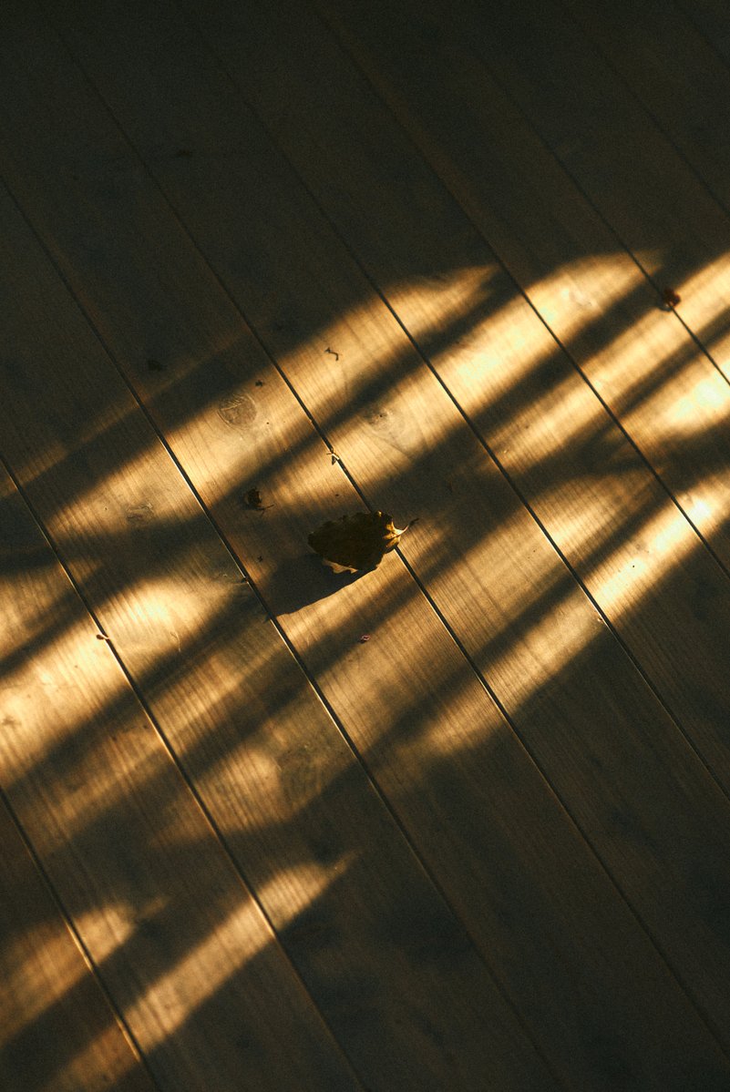 真道 健志 / Shindo Takeshi tweet media