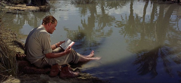 Stephen Gibbons tweet media