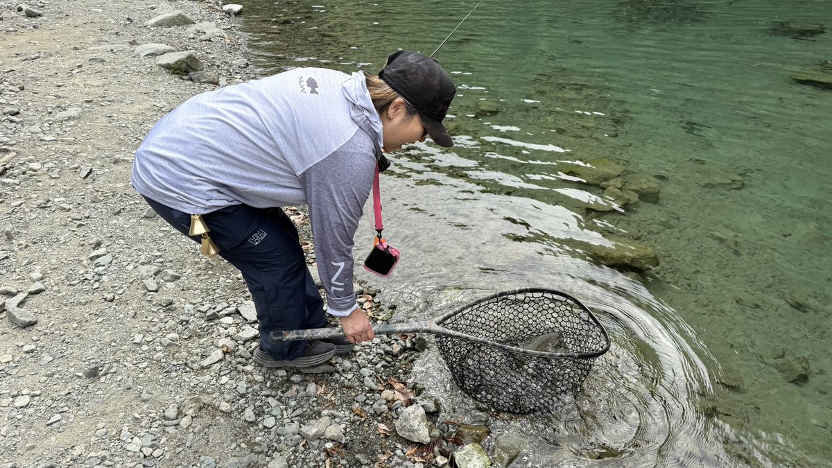 TobyTobyChopper tweet media