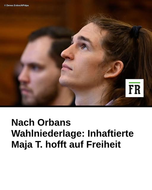 Schonungslos tweet media